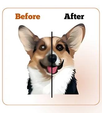 Before and After Vector Art